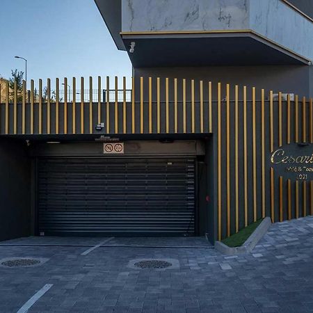 Luxury Apartment Domiel Split Dış mekan fotoğraf